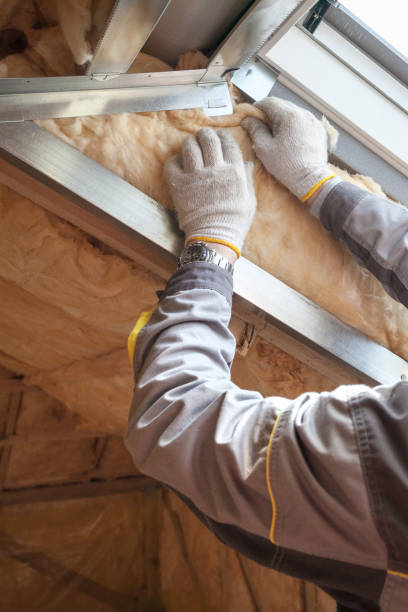 Best Blown-in Insulation in Sheridan, CA